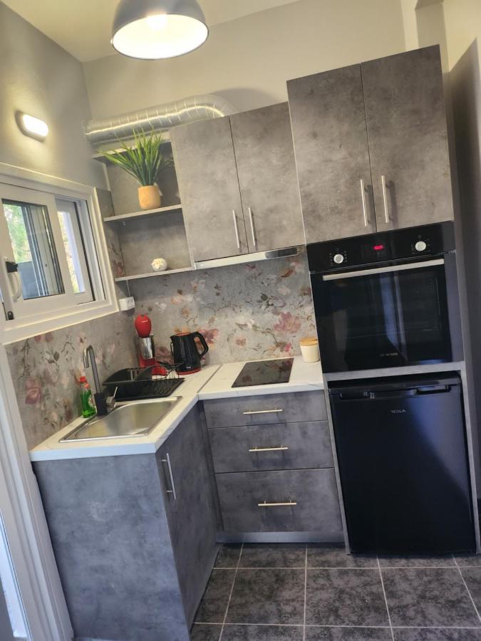 Small Luxury Apartment アナヴィソス エクステリア 写真